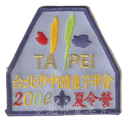 90年夏令營(林建宏先生提供)